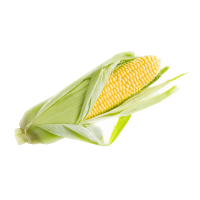 organicc-corn